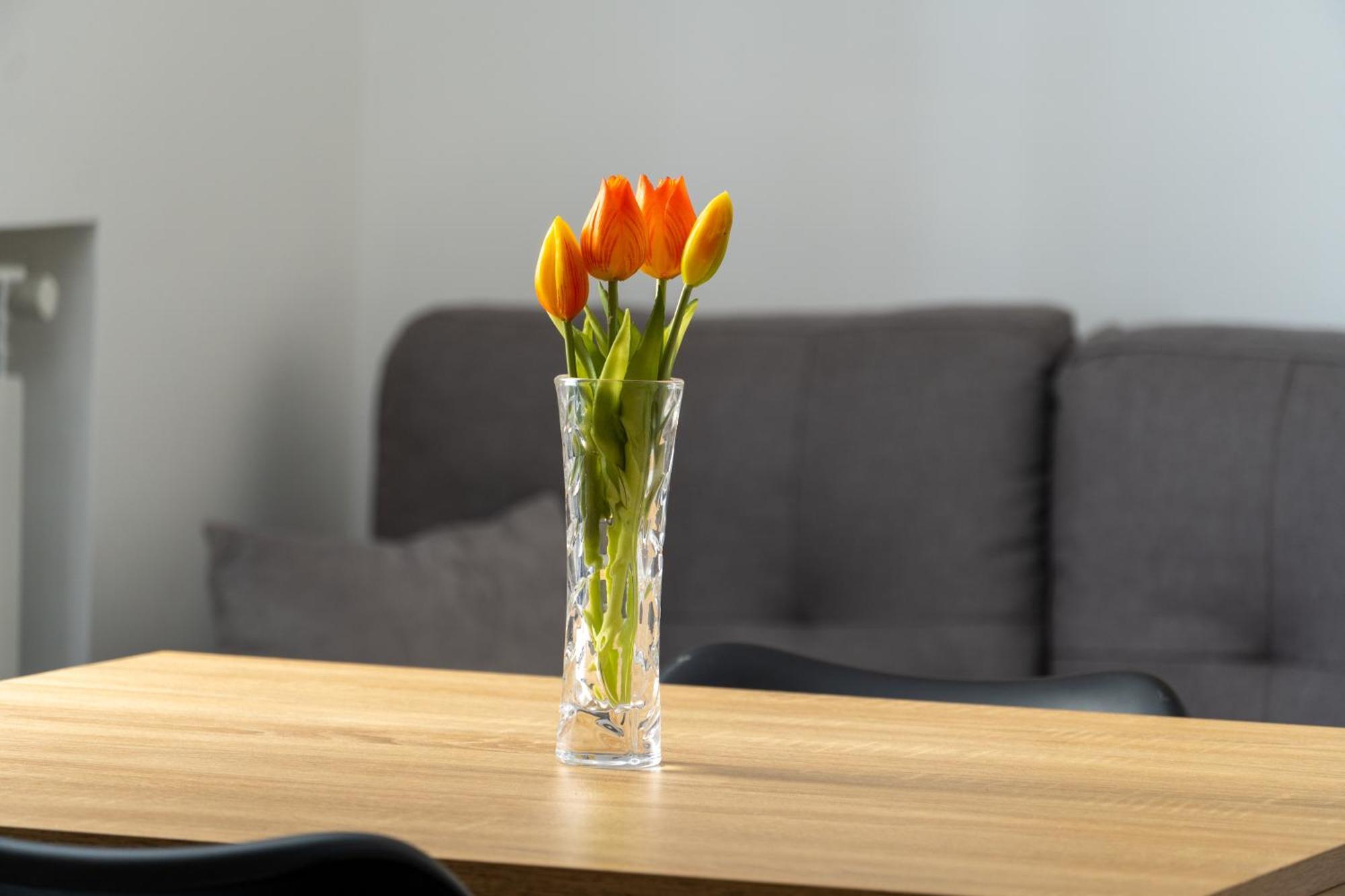 Marle Apartment パレルモ エクステリア 写真